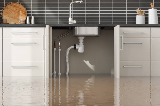 Best Professional water damage repair  in Humboldt, KS