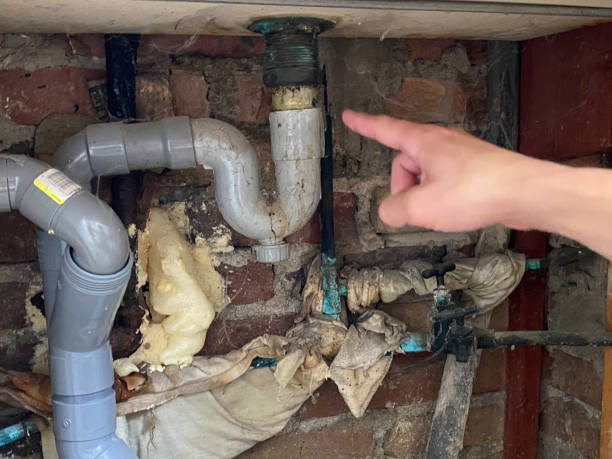 Best Ceiling water damage repair  in Humboldt, KS