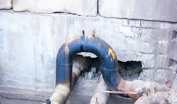 Best Mold removal after water damage  in Humboldt, KS